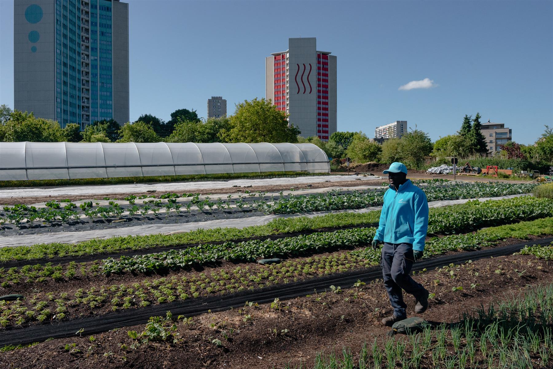 Theo is de nieuwe zelfplukboerderij van Groot Eiland in Ganshoren. Schrijf je nu in en maak deel uit van een stadslandbouwproject gedragen door de gemeenschap!